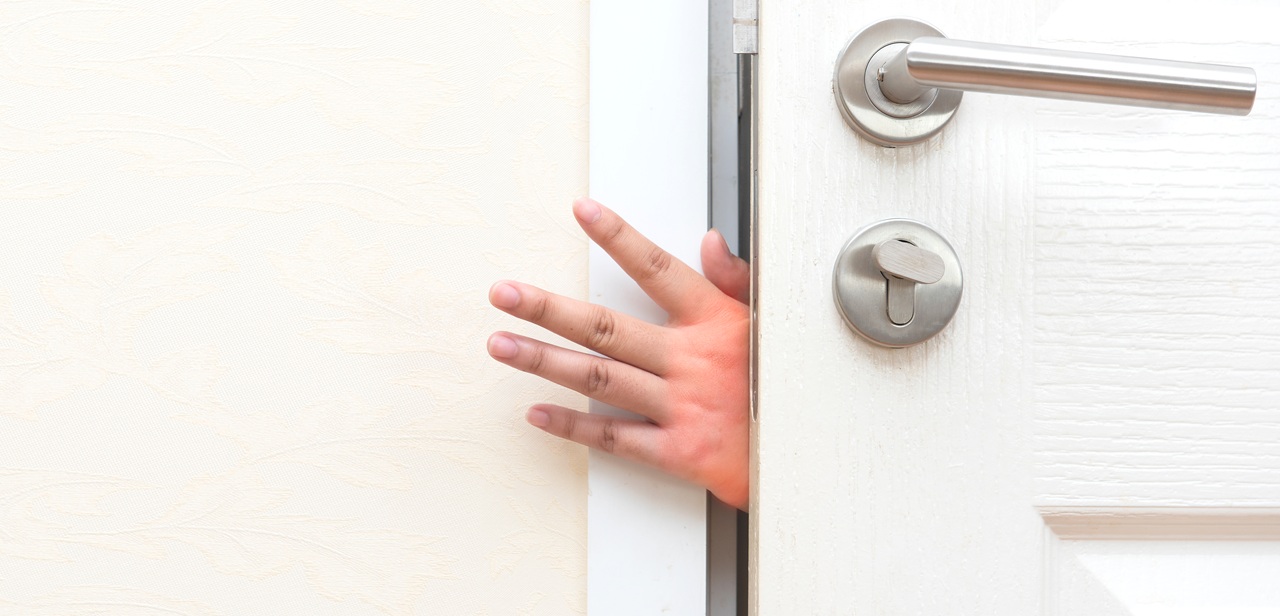 Door safety finger pinch guards